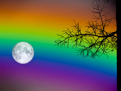 满月和彩虹天空剪影干棕榈树