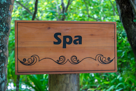 美丽的休闲文字在木质纹理之上。概念水疗中心