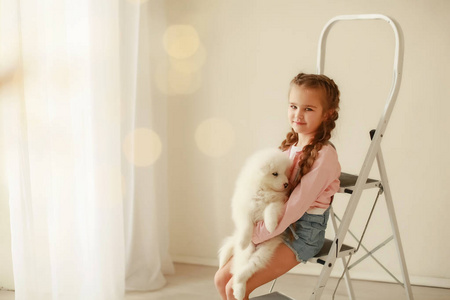 女孩与可爱的小狗在梯子上摆姿势在演播室