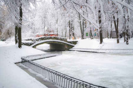 大雪在城市公园