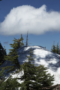 树 云和雪在火山口湖