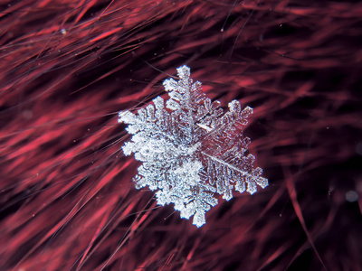 彩色背景宏上的雪花美丽