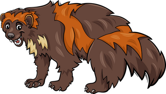 狼獾动物卡通插图
