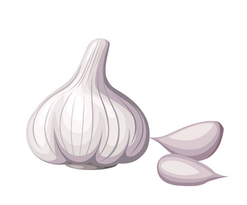 新鲜的白色大蒜和大蒜蔬菜片断从庭院有机食物媒介例证隔绝在白色背景网站页和移动应用程序设计