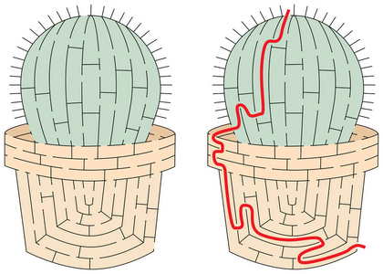 容易的仙人掌迷宫