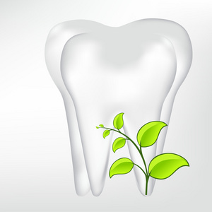 toothtooth 用叶子。矢量网格图