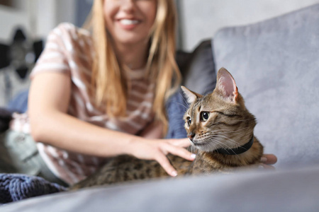 女人抚摸她可爱的猫在家里, 特写