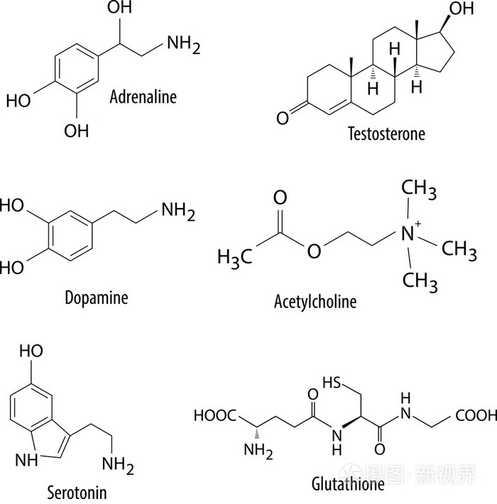 神经递质和类似物质在人体内的化学公式