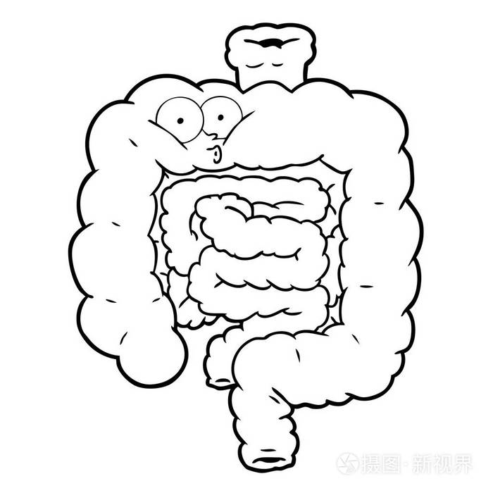 卡通肠的矢量图解