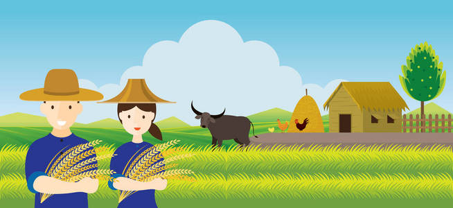 泰国农夫以米和稻田背景, 泰国职业和农村场面
