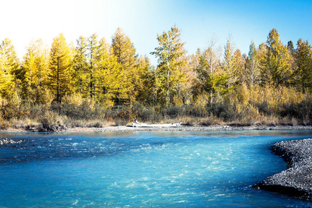 蓝色的河在秋天森林在一个晴朗的天。秋季一日游在山上