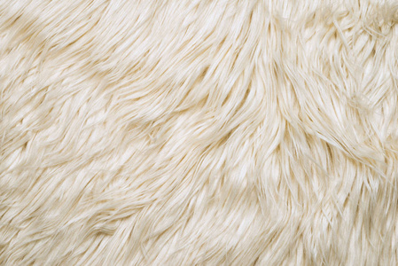 白色羊毛毛皮。白色绵羊皮毛的背景细节