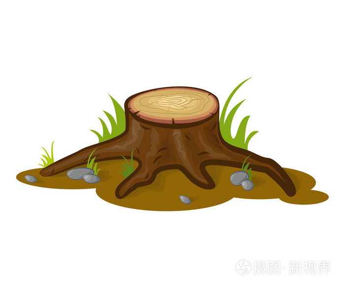 树桩