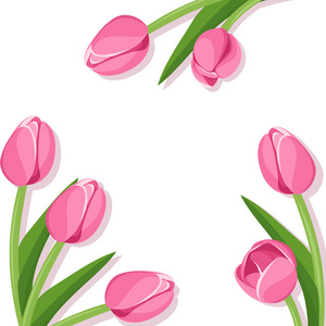 粉色郁金香的背景。矢量插画