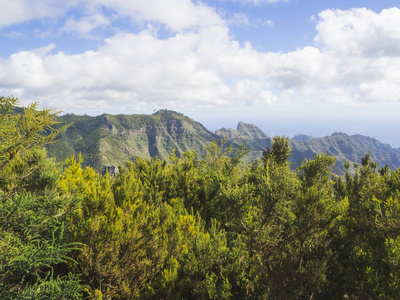 anaga 山尖峰与绿柏树的景观点