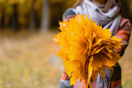 关注黄叶。秋季公园的黑发妇女与时尚格子大衣和围巾
