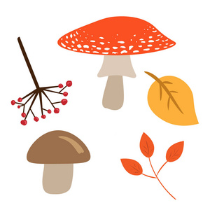 秋天叶子, 蘑菇和浆果被隔绝在白色背景。红色和褐色蘑菇的向量图像, 珊瑚和两个秋天叶子的分支。森林秋季元素集