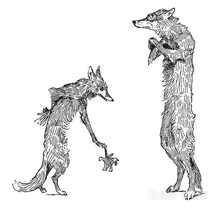 狼持有手套和狐狸站在他面前 复古线条画或雕刻插图