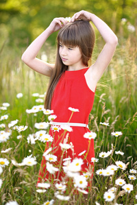 一个美丽的小女孩，洋甘菊的肖像