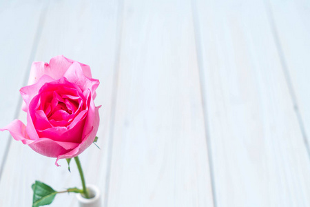 粉色的玫瑰，插在花瓶里木背景