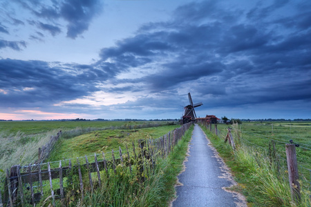 在早晨的风车荷兰农田