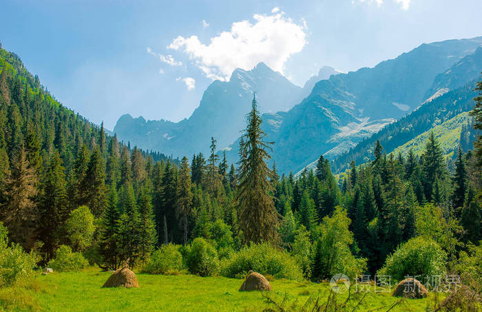 山峡谷与草甸在早晨在绿色草和花围拢由山峰在夏天