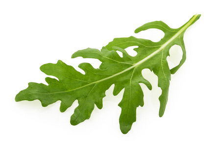 Rucola 或芝麻菜叶子在白色背景下分离
