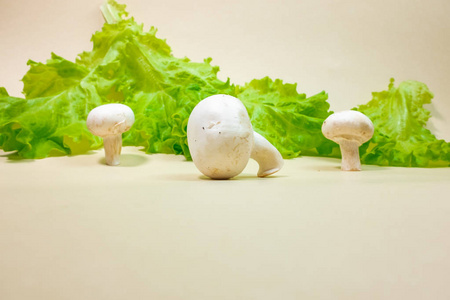 鲜香菇蘑菇和绿生菜叶