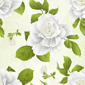 无缝纹理茎花白玫瑰和叶子复古自然背景矢量插图可编辑手绘手画
