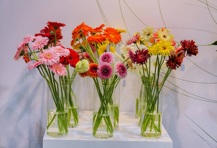 非洲菊, 切五颜六色的花朵, 站在桌子上的花瓶, 特写