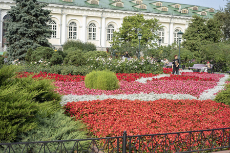 城市莫斯科地区, 美丽的温室花卉