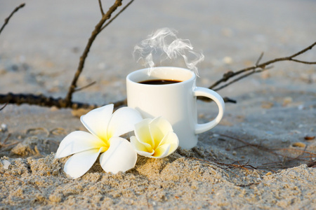 咖啡的海滩和鸡蛋花的花朵
