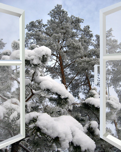 打开窗口到下雪的冬天森林