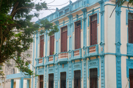 大蓝色大厦哈瓦那古巴与树