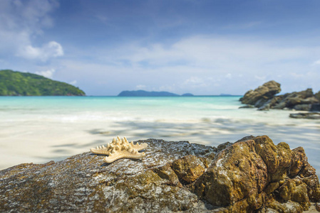 海星在美丽的热带海滩背景与地平线蓝光