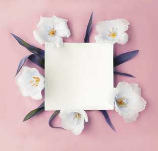 粉红色背景的白色花朵与复制空间