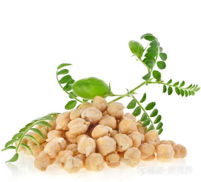鹰嘴豆植物种子堆