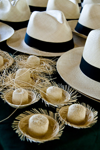 巴拿马帽和微型稻草帽子