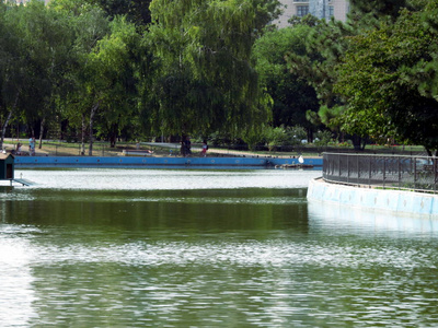 人工湖在城市公园里