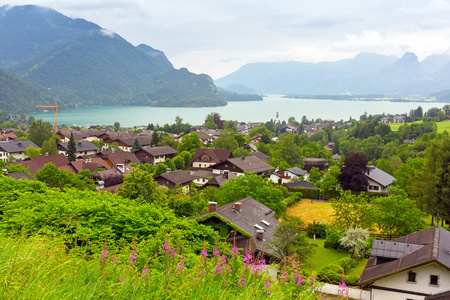 在阿尔卑斯山的乡村景色