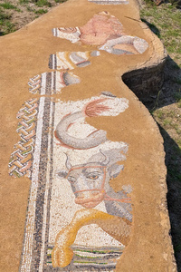 伟大的浴池。希腊迪翁考古遗址