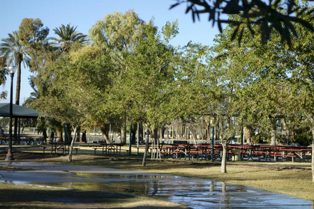 Encanto 公园会议区