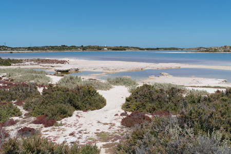 盐湖, Rottnest 岛, 西澳大利亚