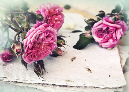 粉红玫瑰和手工纸