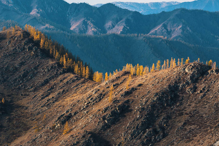 秋天的山的风景, 阿尔泰共和国, 俄国