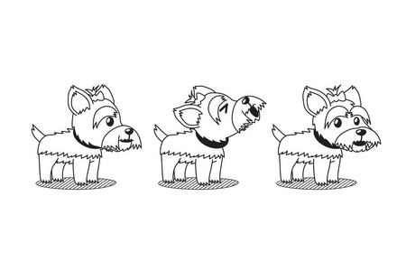 矢量卡通人物逗人喜爱的约克郡犬狗姿势设计