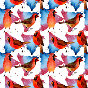 以水彩风格在野生动物中的天空鸟红色红衣主教图案