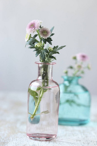 菊花花瓶