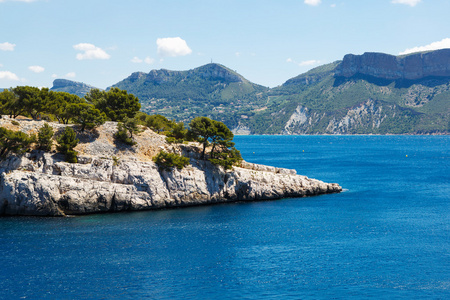 calanques 的黑醋栗，普罗旺斯，法国的端口引脚