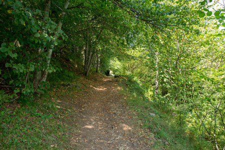 西班牙嫂子山谷中的山路